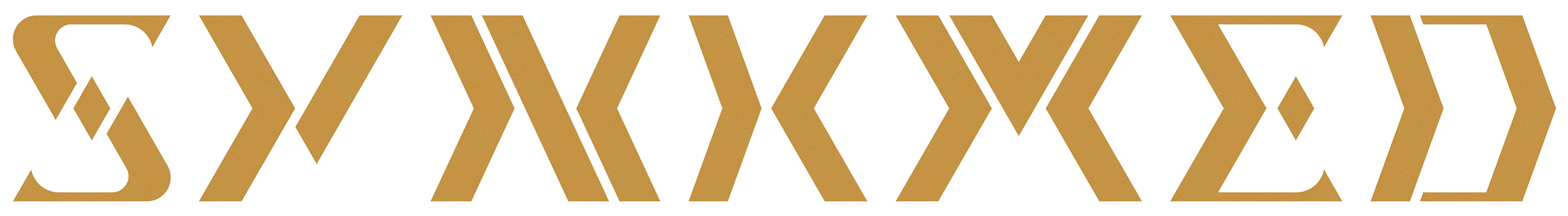 SYNKMED LOGO